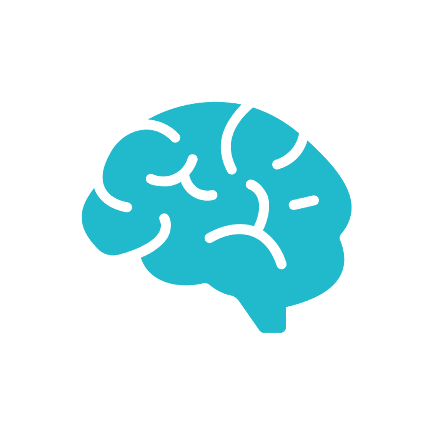 kvízy po každej lekcii